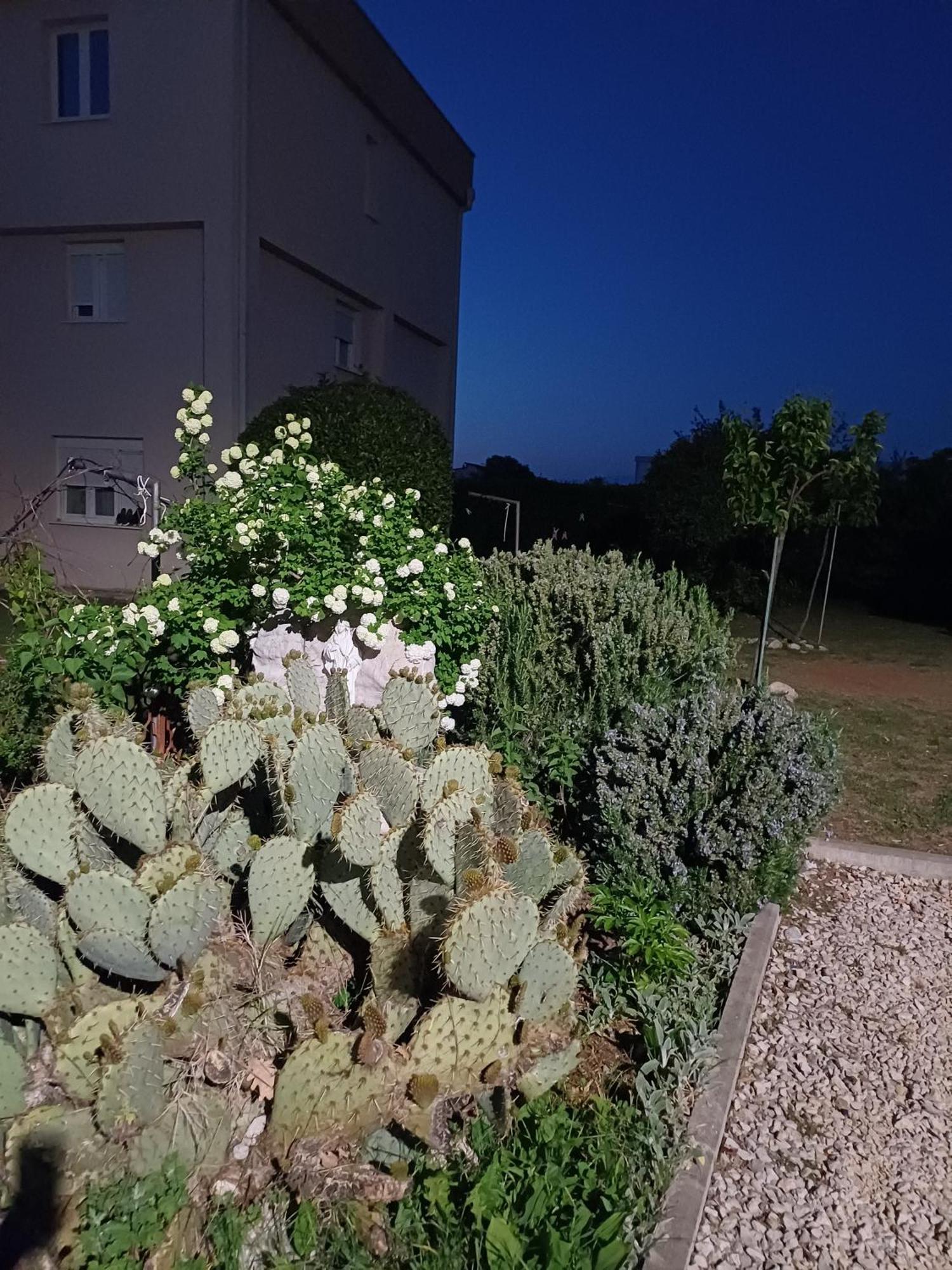 Villa Ana Međugorje Exteriör bild