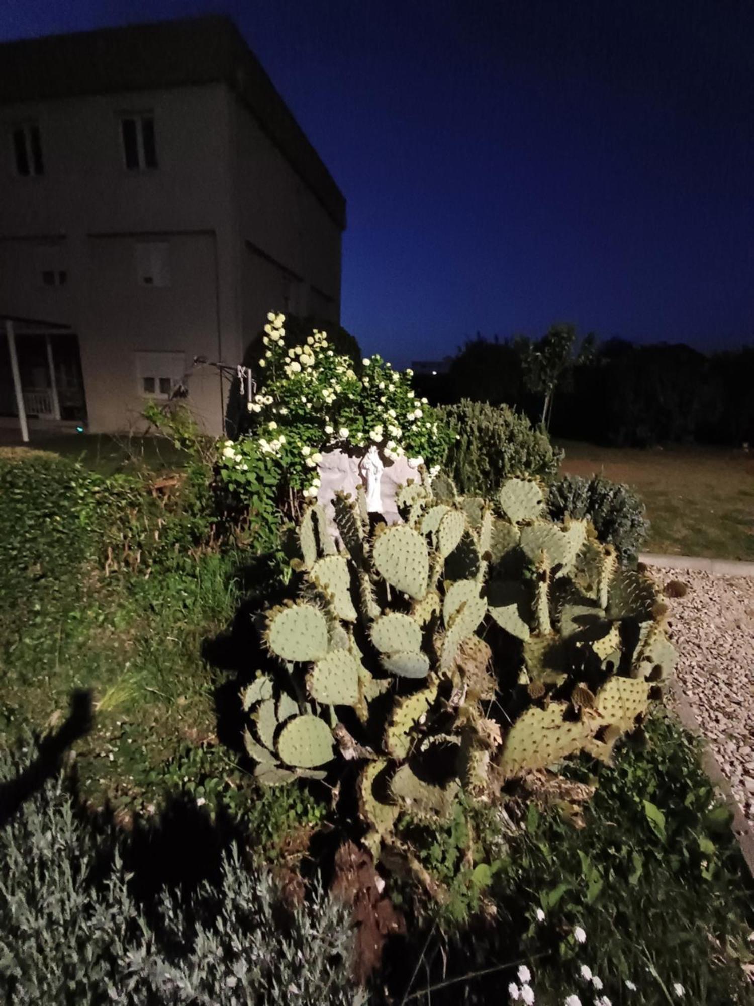 Villa Ana Međugorje Exteriör bild
