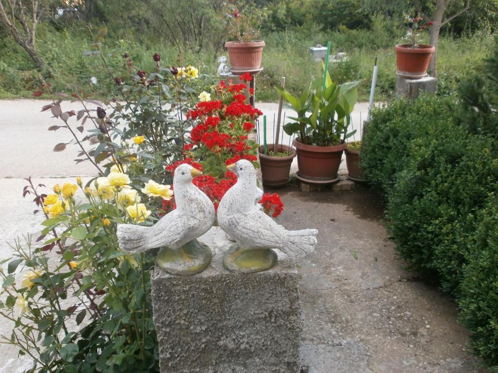 Villa Ana Međugorje Exteriör bild
