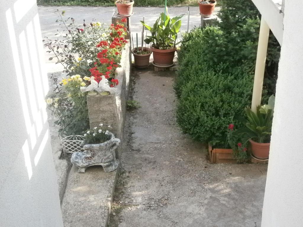 Villa Ana Međugorje Exteriör bild