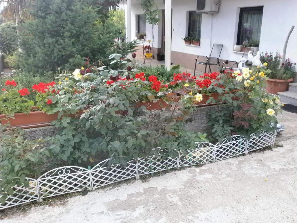 Villa Ana Međugorje Exteriör bild